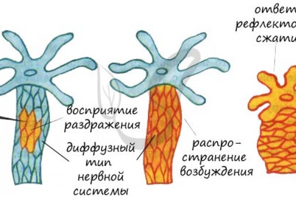 Кракен официальный