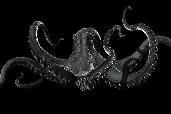 Kraken это современный маркетплейс