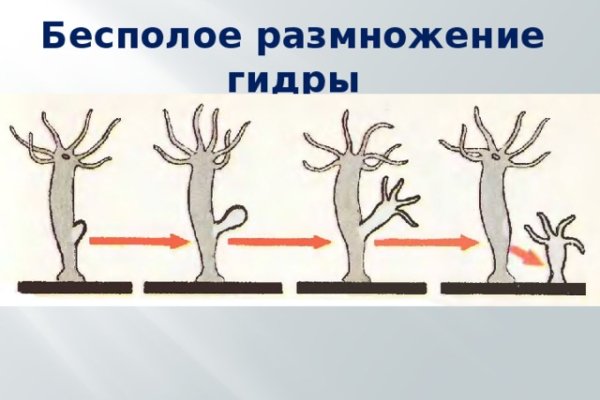Что такое кракен сайт в россии