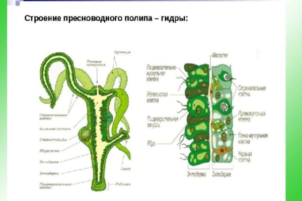 Сайт krn