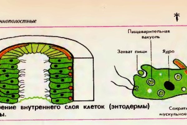 Кракен ссылка kra