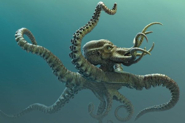 Kraken onion ссылка