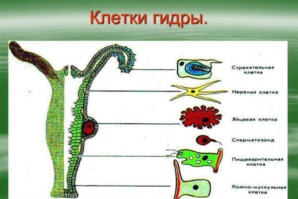 Ссылки на дарк нет