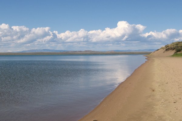 Где найти ссылку кракен