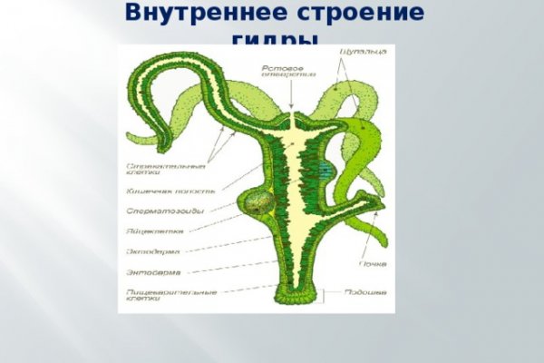 Кракен даркнет актуальная ссылка