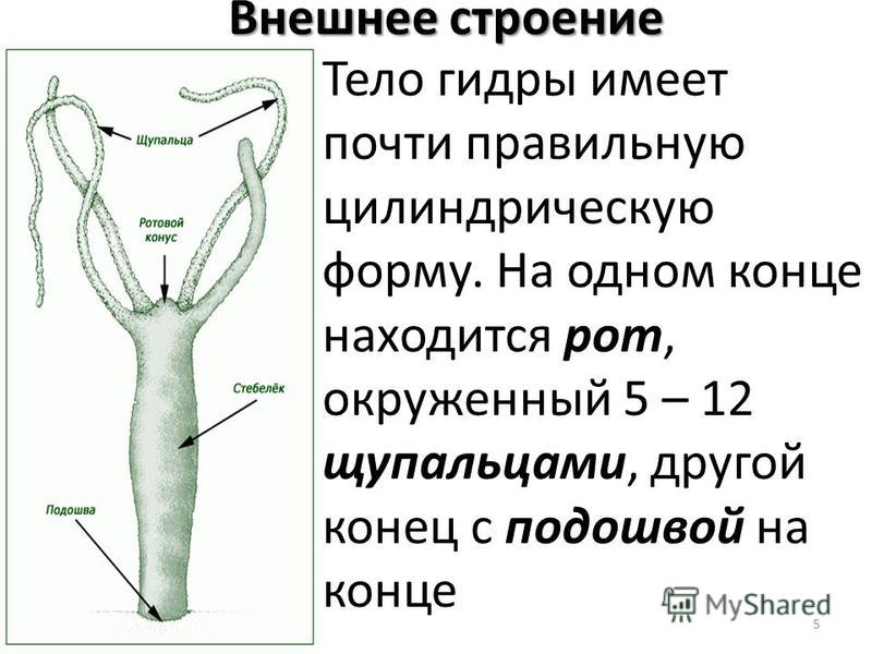 Кракен ссылка на тор официальная онион